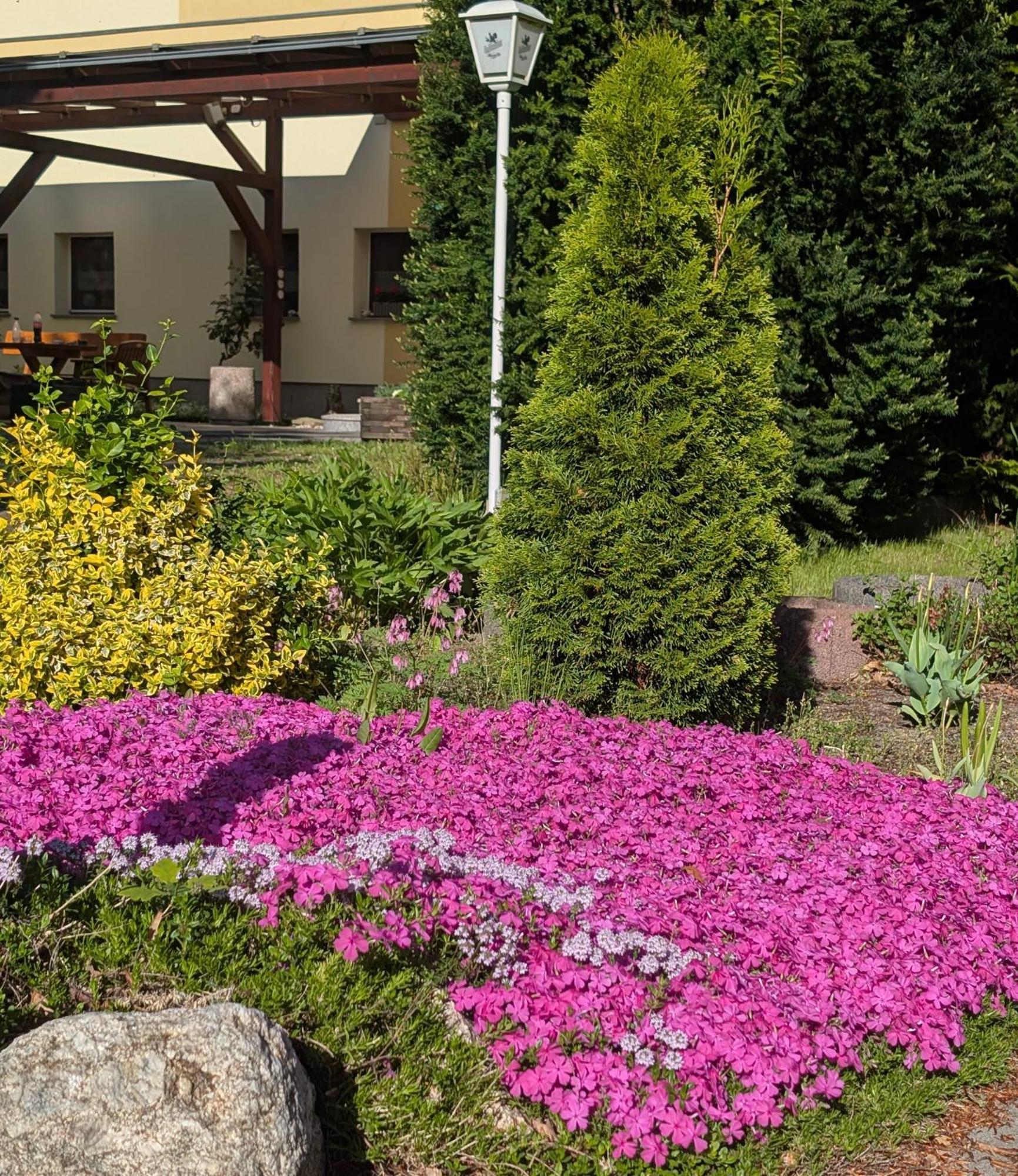 Pension Zum Reiterhof, Fewo 2 Schmogrow Exteriör bild