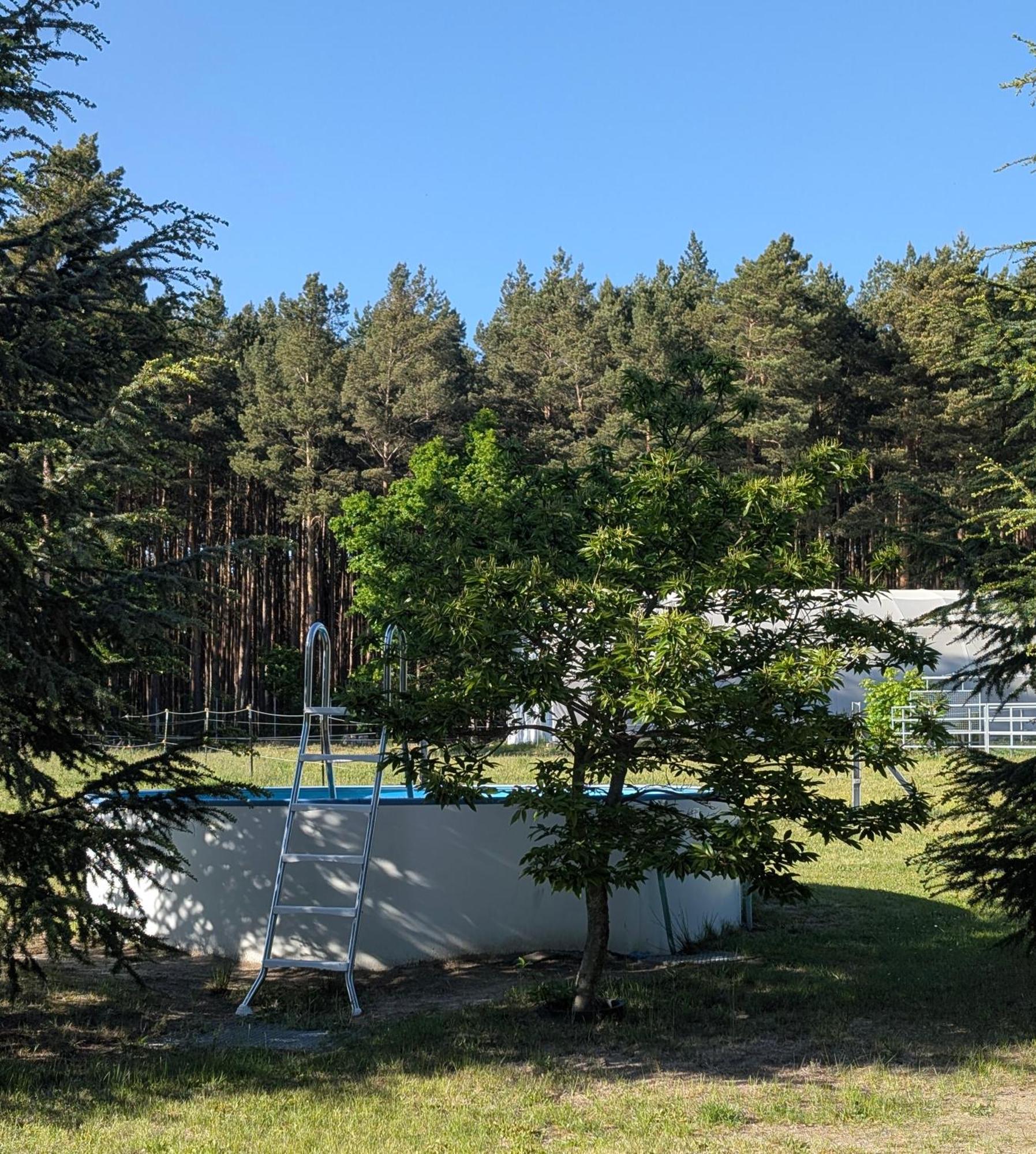 Pension Zum Reiterhof, Fewo 2 Schmogrow Exteriör bild