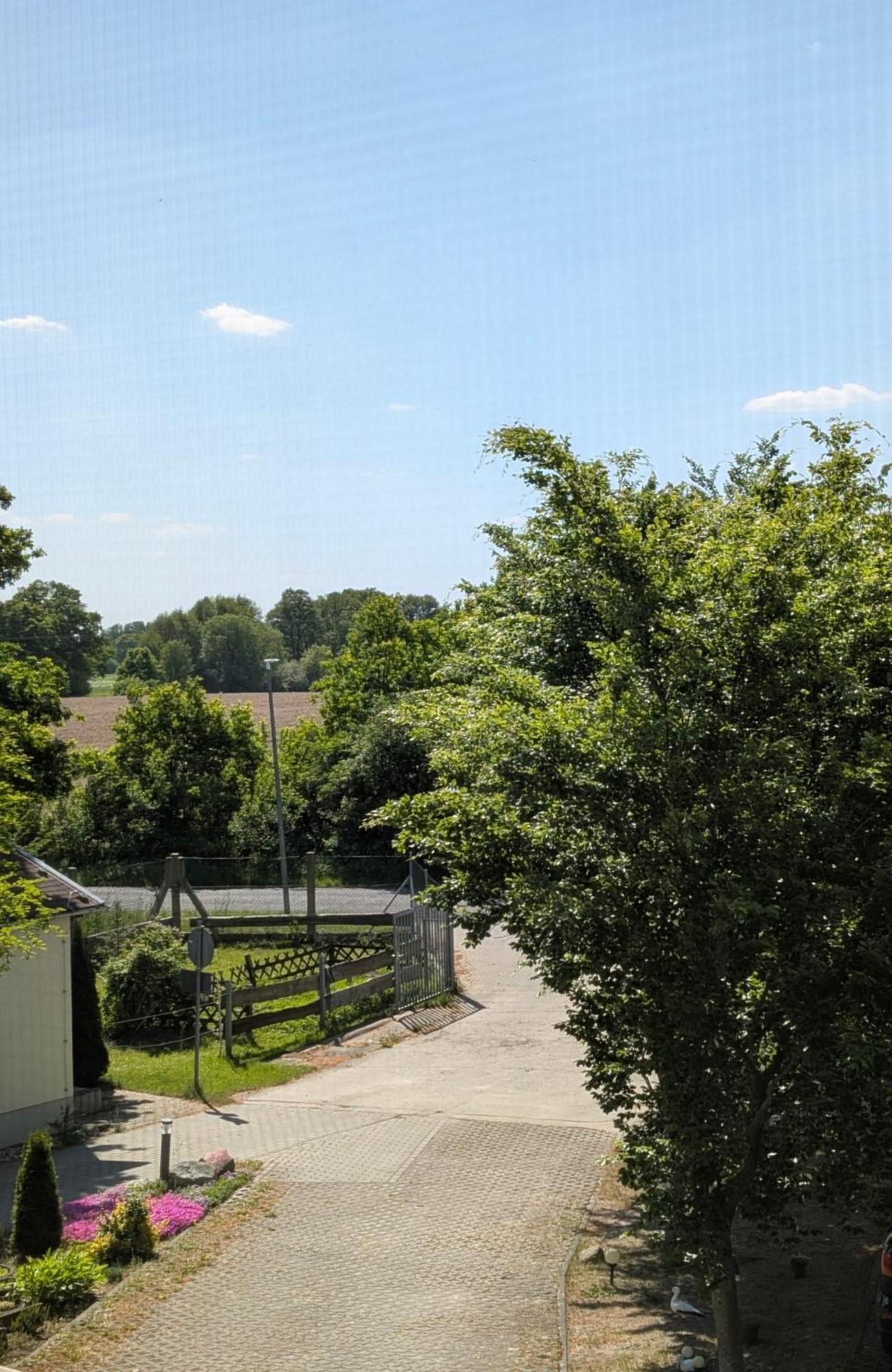 Pension Zum Reiterhof, Fewo 2 Schmogrow Exteriör bild